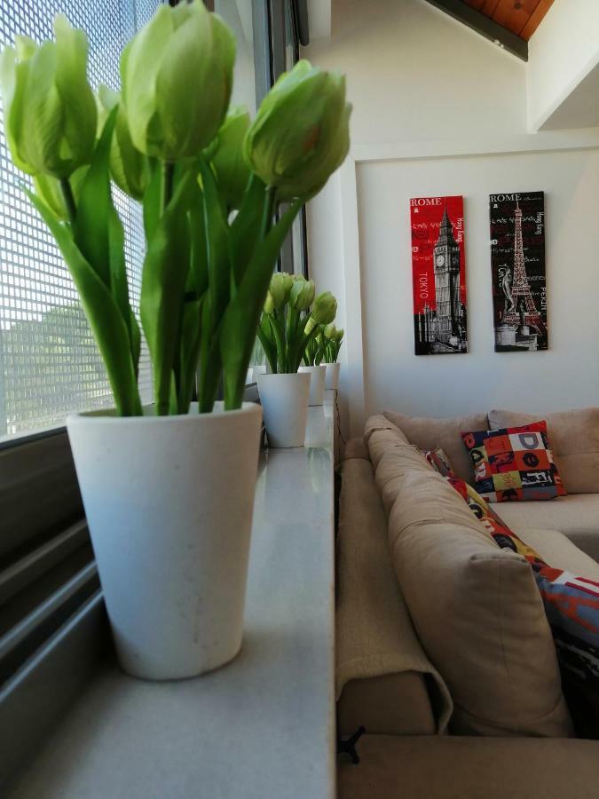 Glyka Nera Spacious & Modern Studio Apartment Near The Airport מראה חיצוני תמונה